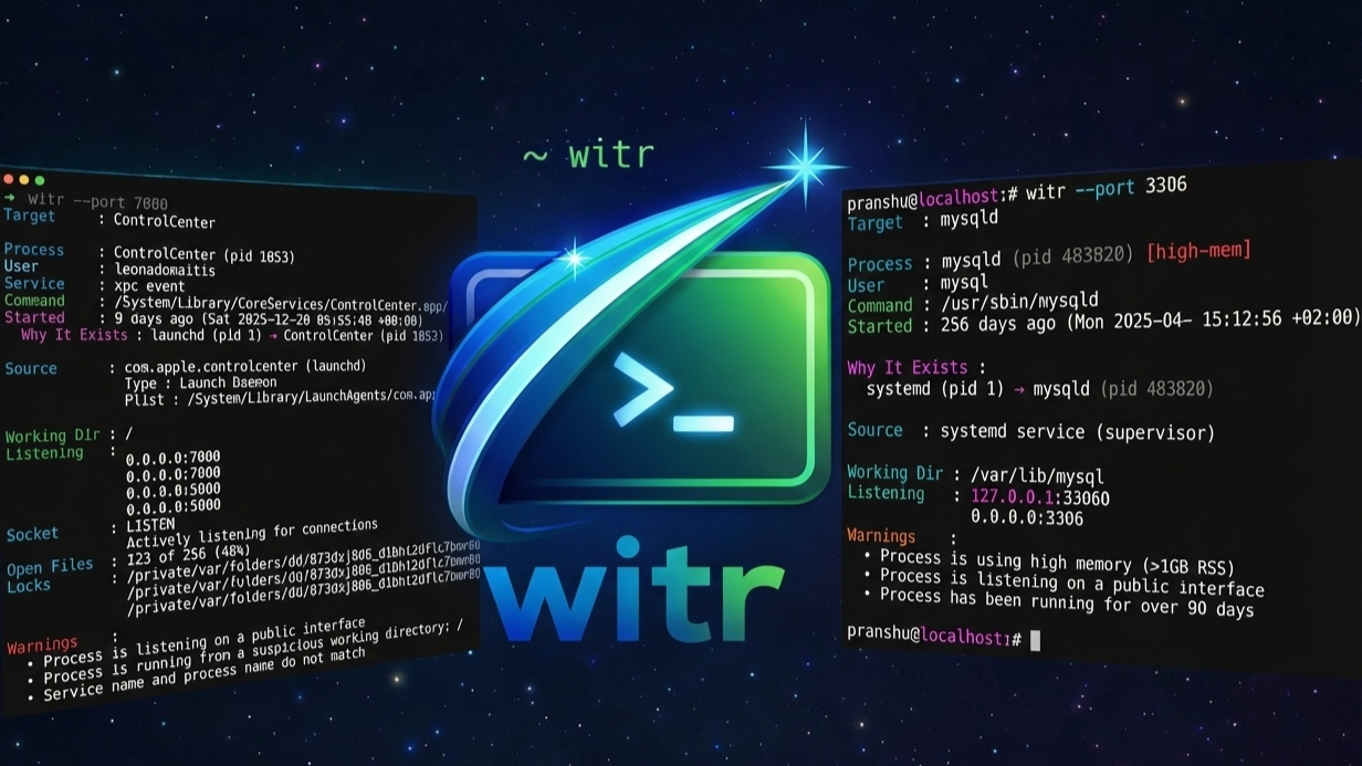 Linux/macOS/Windows 进程侦探：一键查清“谁在偷偷占用我的系统？”